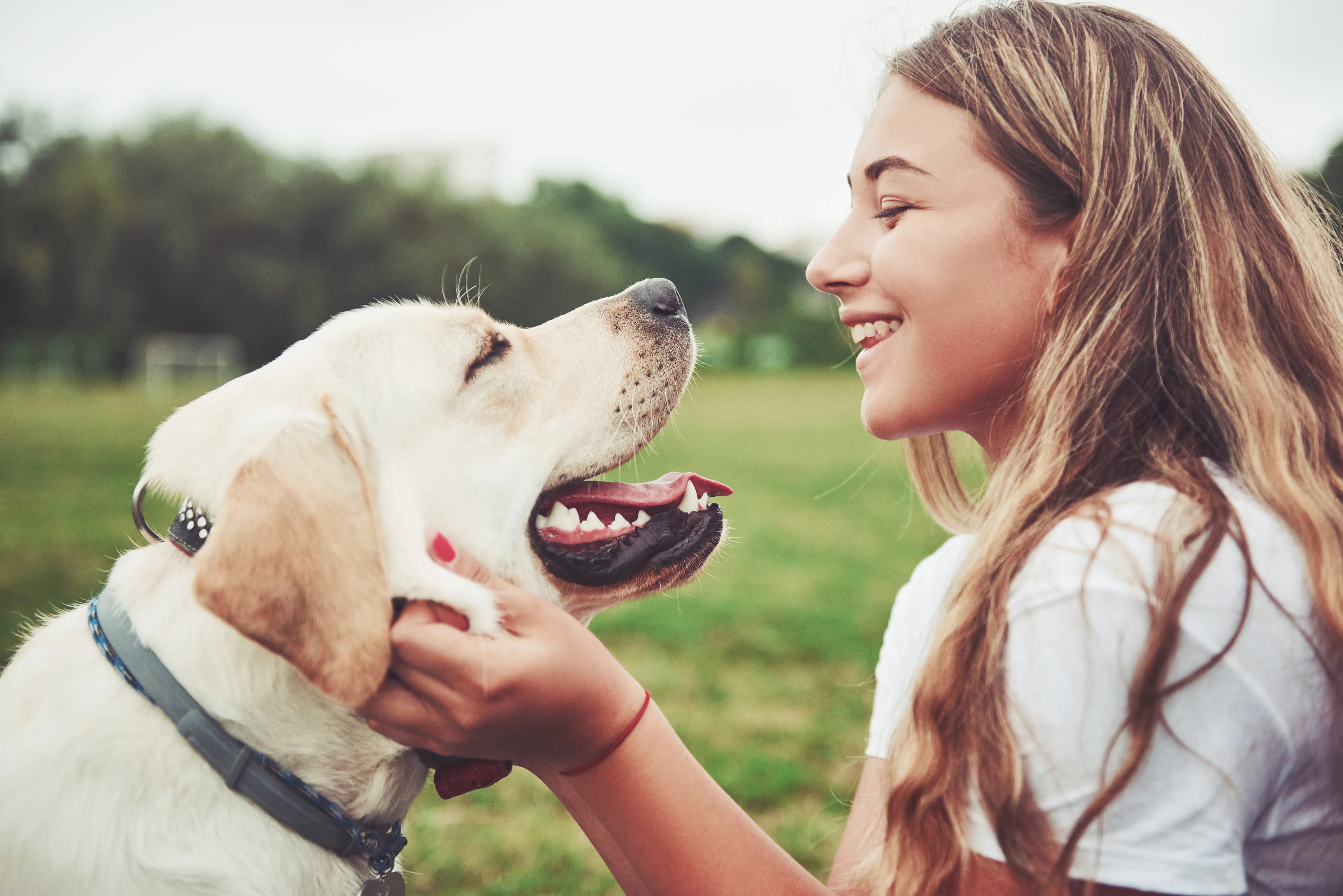 Sitter smiling while gently holding a happy dog outdoors