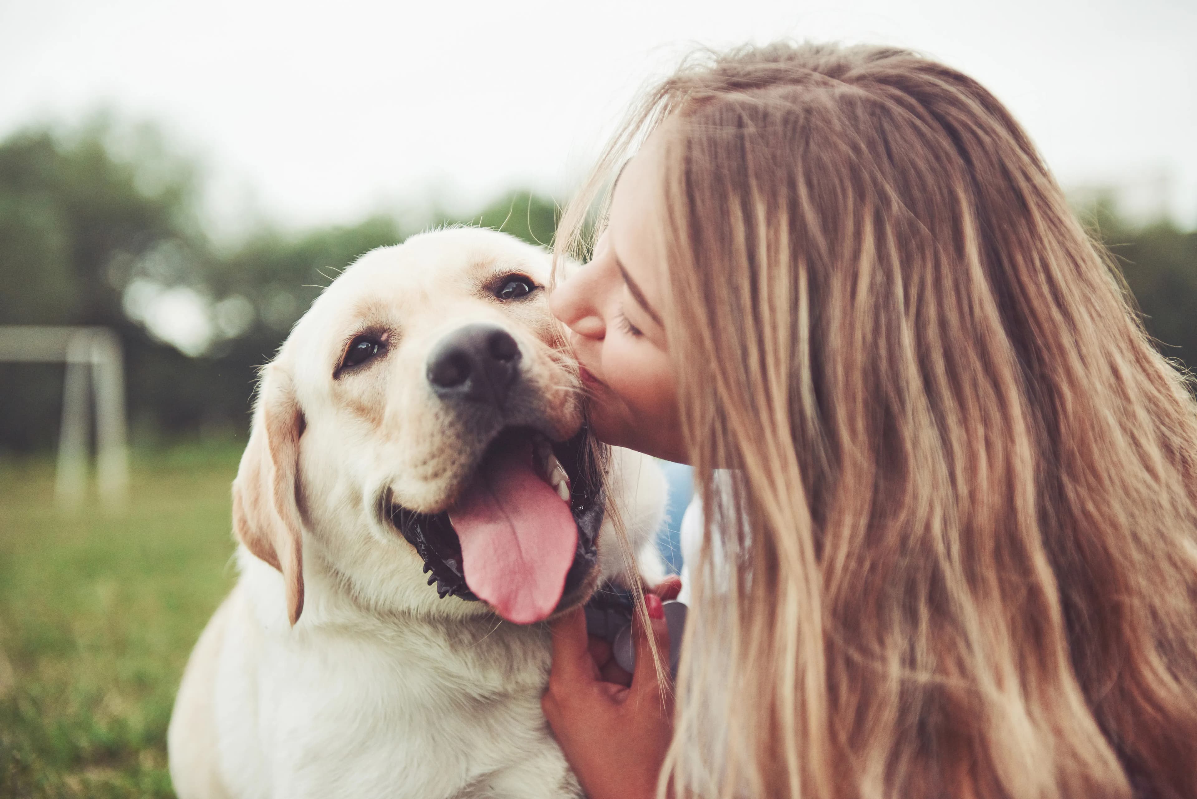 Sitter kissing a happy dog during an outdoor visit